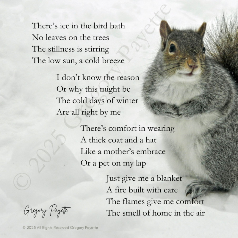 Poem about the coldness of winter.